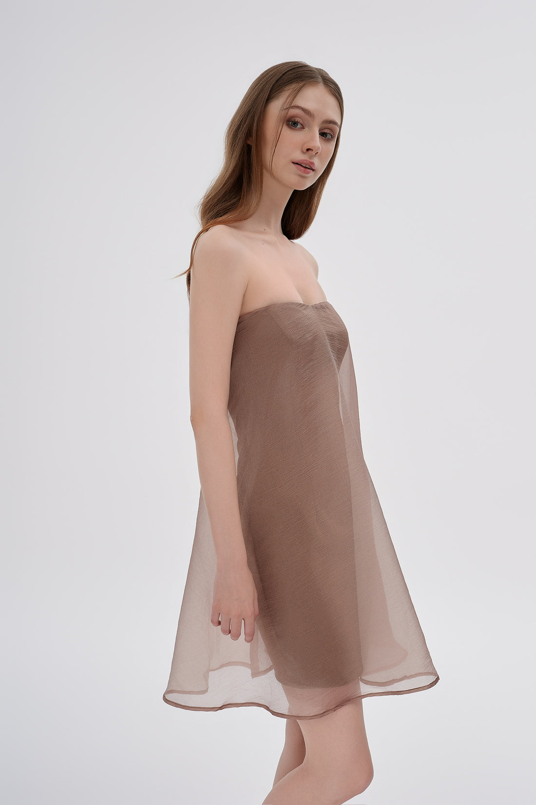 Enchanted Dress